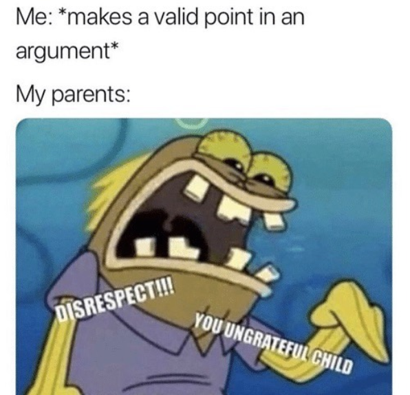 Me: *makes a valid point in an argument* My parents: DISRESPECT!!! YOU UNGRATEFUL CHILD