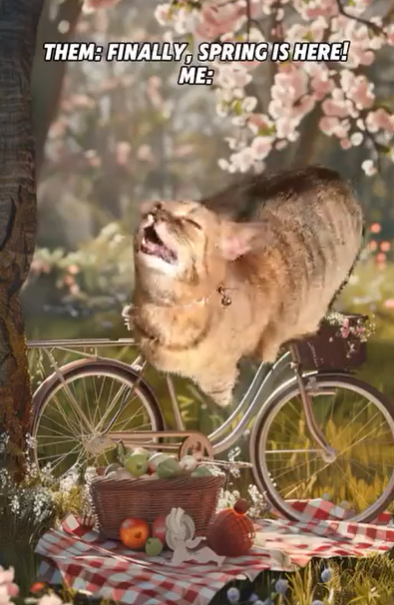 THEM: FINALLY, SPRING IS HERE! ME: