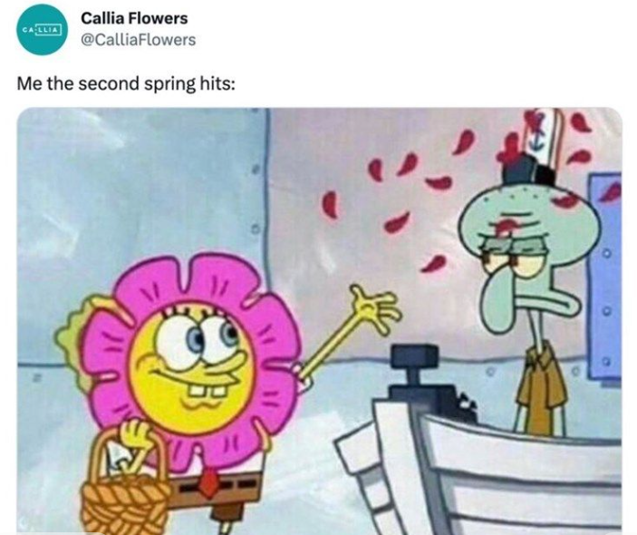 Callia Flowers CALLIA @CalliaFlowers Me the second spring hits:
