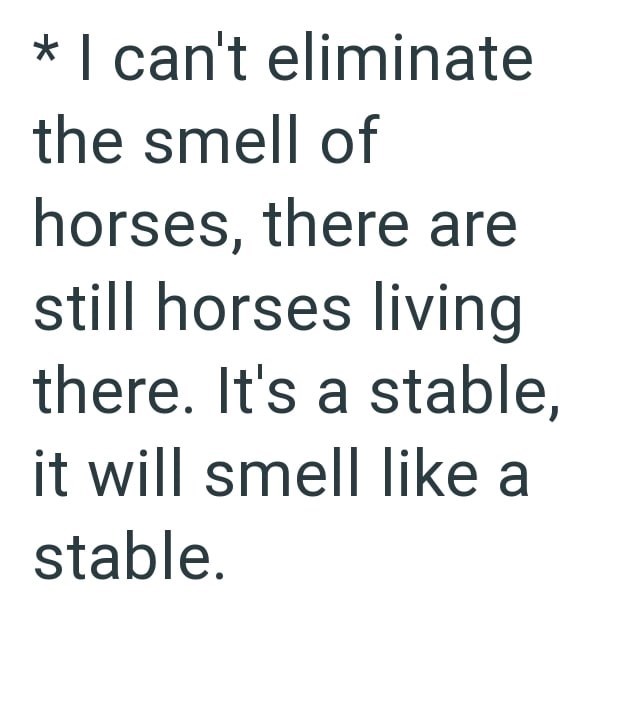 * I can't eliminate the smell of horses, there are still horses living there. It's a stable, it will smell like a stable.