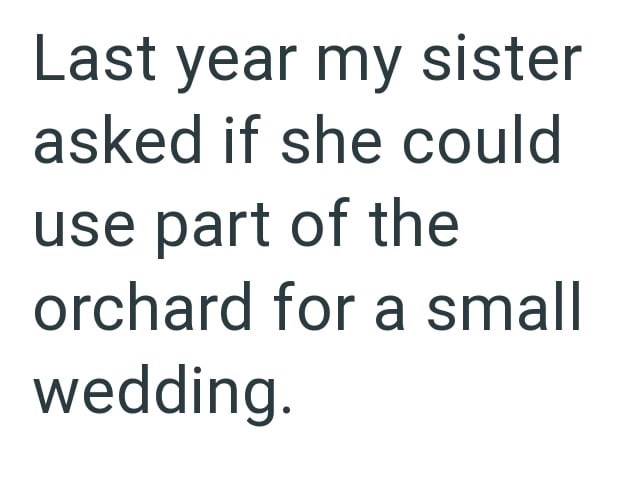 Last year my sister asked if she could use part of the orchard for a small wedding.