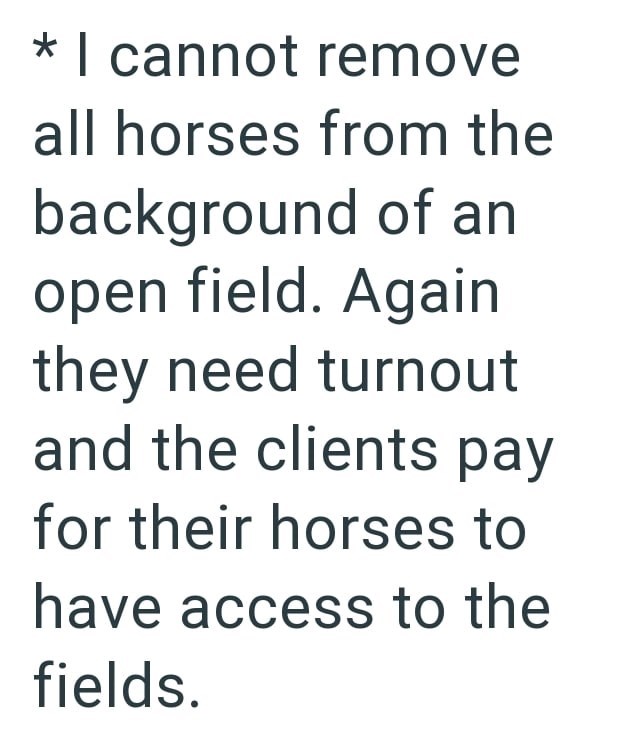 * I cannot remove all horses from the background of an open field. Again they need turnout and the clients pay for their horses to have access to the fields.