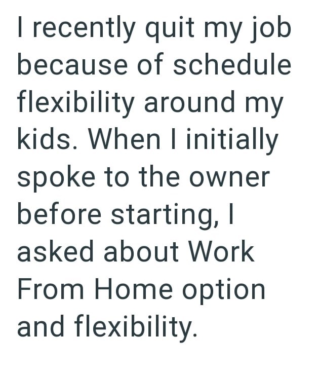 I recently quit my job because of schedule flexibility around my kids. When I initially spoke to the owner before starting, I asked about Work From Home option and flexibility.