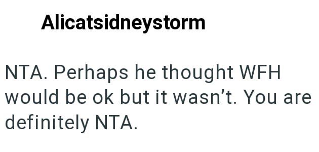 Alicatsidneystorm NTA. Perhaps he thought WFH would be ok but it wasn't. You are definitely NTA.