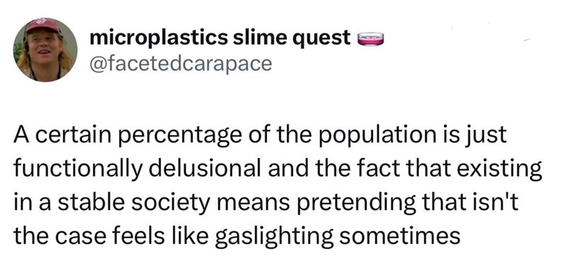 microplastics slime quest @facetedcarapace A certain percentage of the population is just functionally delusional and the fact that existing in a stable society means pretending that isn't the case feels like gaslighting sometimes