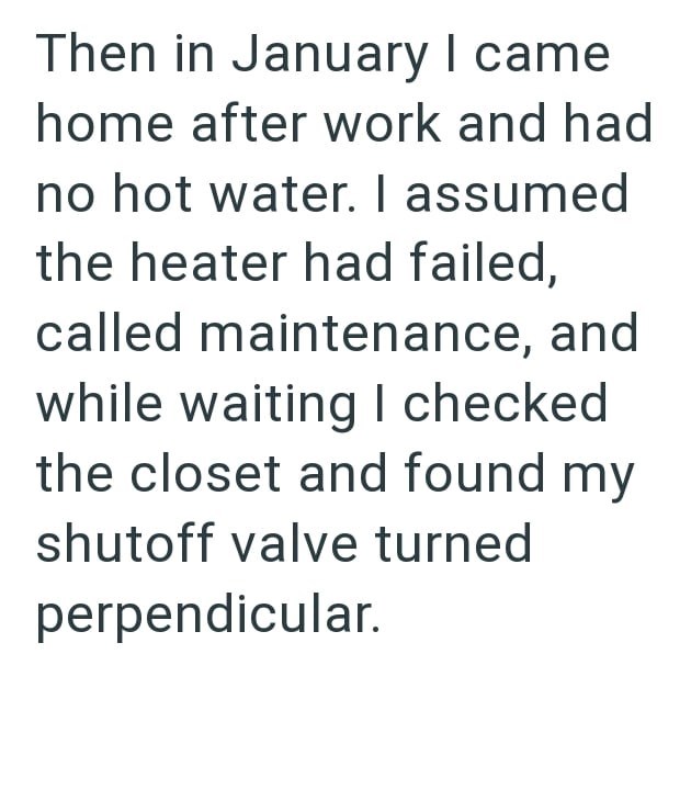 Then in January I came home after work and had no hot water. I assumed the heater had failed, called maintenance, and while waiting I checked the closet and found my shutoff valve turned perpendicular.