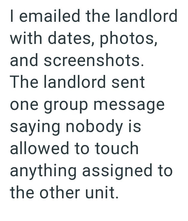 I emailed the landlord with dates, photos, and screenshots. The landlord sent one group message saying nobody is allowed to touch anything assigned to the other unit.
