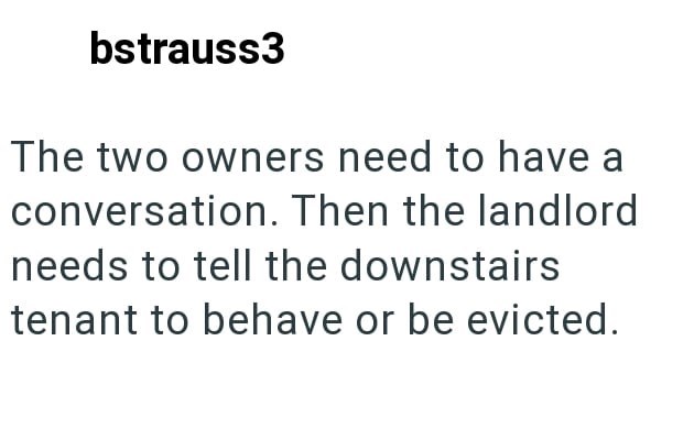 bstrauss3 The two owners need to have a conversation. Then the landlord needs to tell the downstairs tenant to behave or be evicted.
