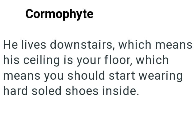 Cormophyte He lives downstairs, which means his ceiling is your floor, which means you should start wearing hard soled shoes inside.