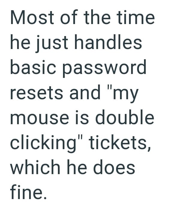 Most of the time he just handles basic password resets and "my mouse is double clicking" tickets, which he does fine.