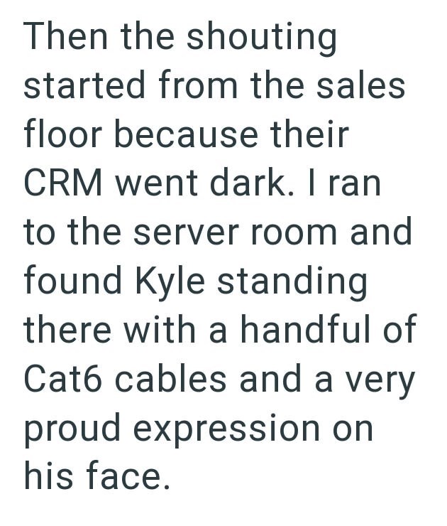Then the shouting started from the sales floor because their CRM went dark. I ran to the server room and found Kyle standing there with a handful of Cat6 cables and a very proud expression on his face.