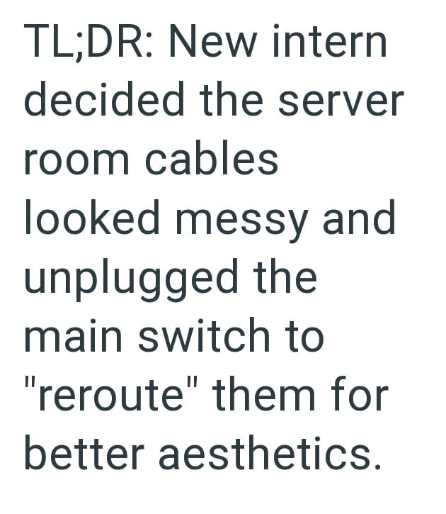 TL;DR: New intern decided the server room cables looked messy and unplugged the main switch to "reroute" them for better aesthetics.