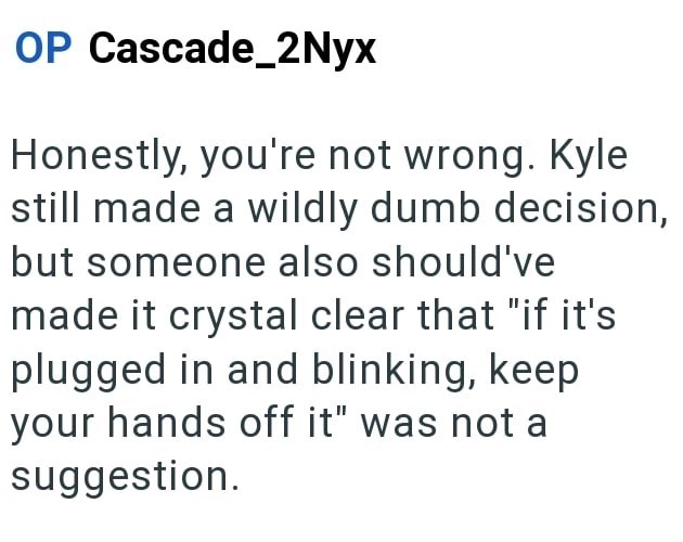 OP Cascade_2Nyx Honestly, you're not wrong. Kyle still made a wildly dumb decision, but someone also should've made it crystal clear that "if it's plugged in and blinking, keep your hands off it" was not a suggestion.