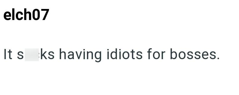 elch07 It s ks having idiots for bosses.