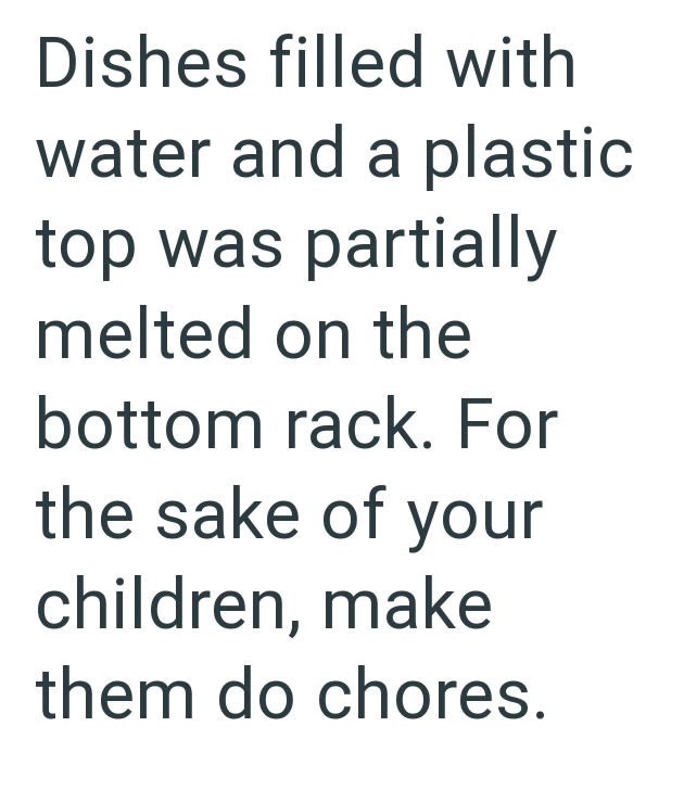 Dishes filled with water and a plastic top was partially melted on the bottom rack. For the sake of your children, make them do chores.