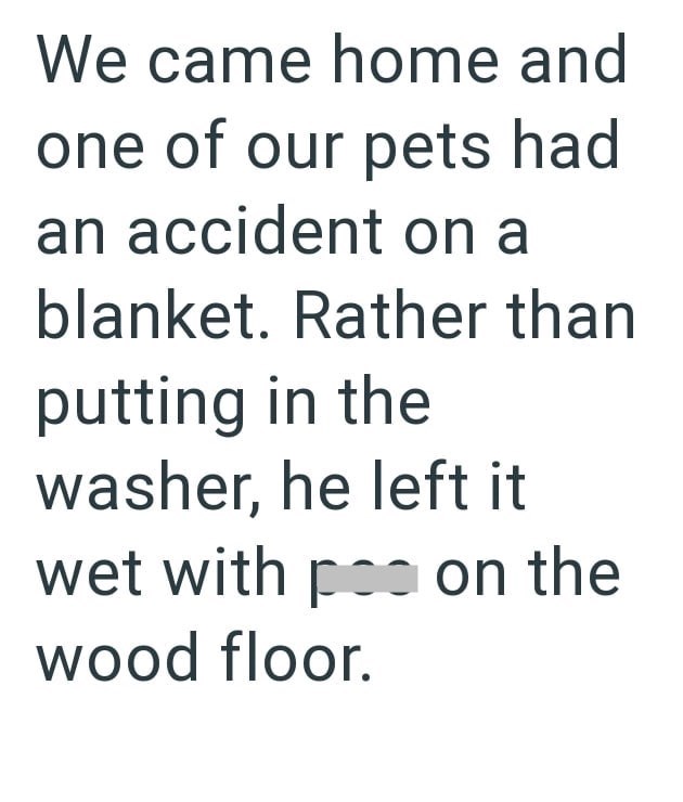 We came home and one of our pets had an accident on a blanket. Rather than putting in the washer, he left it wet with pas on the wood floor.