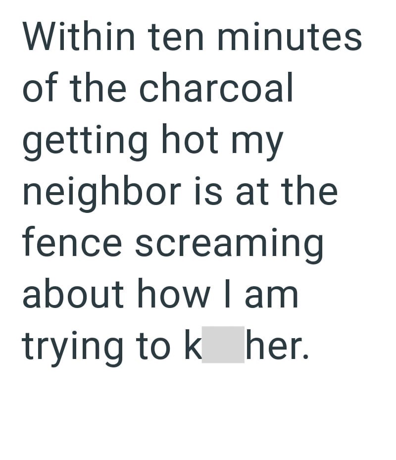 Within ten minutes of the charcoal getting hot my neighbor is at the fence screaming about how I am trying to k her.