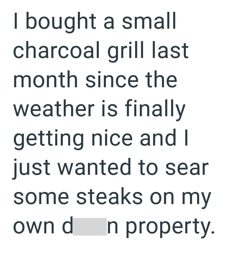 I bought a small charcoal grill last month since the weather is finally getting nice and I just wanted to sear some steaks on my own d In property.