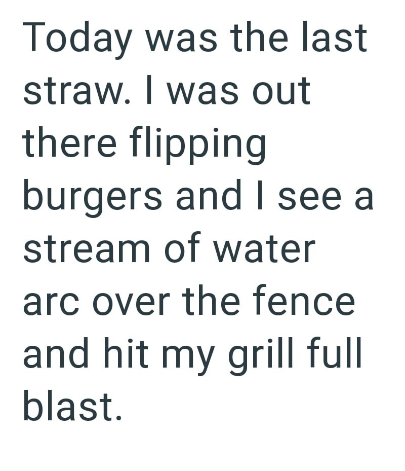 Today was the last straw. I was out there flipping burgers and I see a stream of water arc over the fence and hit my grill full blast.
