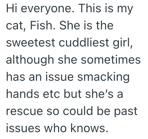Hi everyone. This is my cat, Fish. She is the sweetest cuddliest girl, although she sometimes has an issue smacking hands etc but she's a rescue so could be past issues who knows.