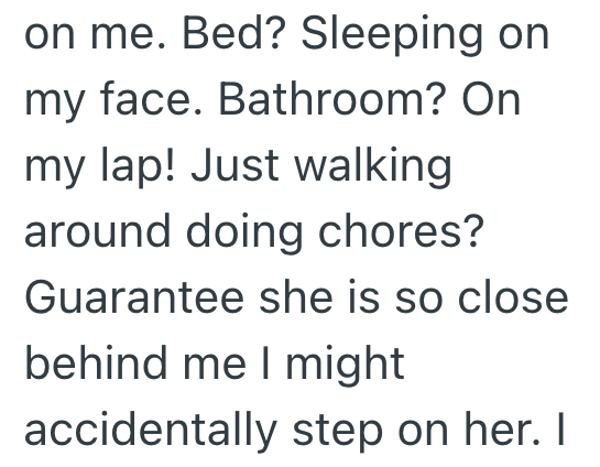 on me. Bed? Sleeping on my face. Bathroom? On my lap! Just walking around doing chores? Guarantee she is so close behind me I might accidentally step on her. I