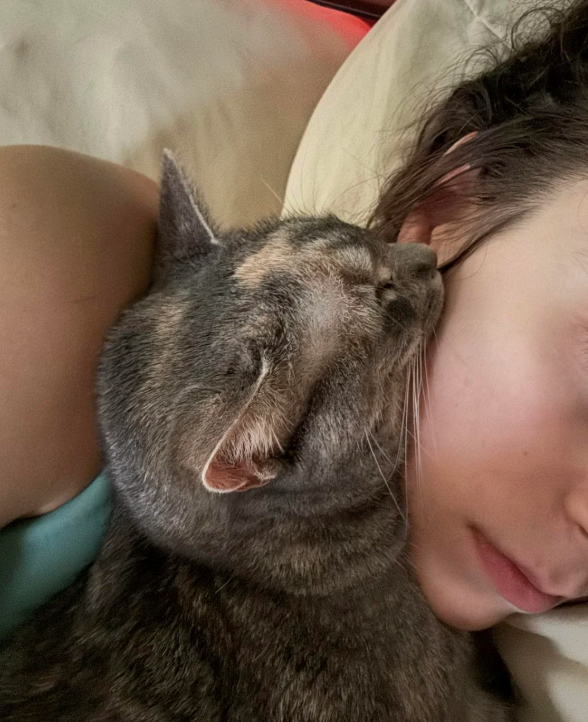 Cheezburger Image 10620708096