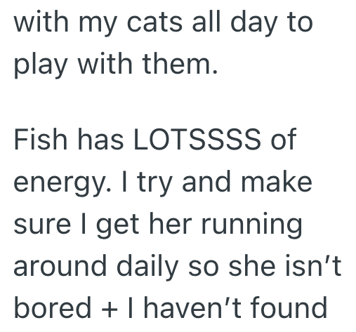 with my cats all day to play with them. Fish has LOTSSSS of energy. I try and make sure I get her running around daily so she isn't bored + I haven't found
