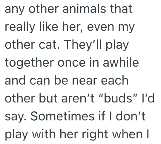any other animals that really like her, even my other cat. They'll play together once in awhile and can be near each other but aren't "buds" I'd say. Sometimes if I don't play with her right when I