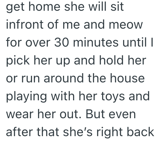 get home she will sit infront of me and meow for over 30 minutes until I pick her up and hold her or run around the house playing with her toys and wear her out. But even after that she's right back