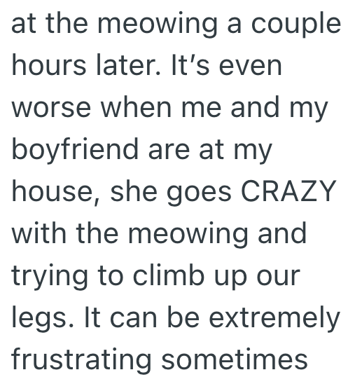 at the meowing a couple hours later. It's even worse when me and my boyfriend are at my house, she goes CRAZY with the meowing and trying to climb up our legs. It can be extremely frustrating sometimes