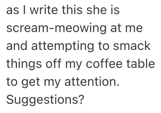 as I write this she is scream-meowing at me and attempting to smack things off my coffee table to get my attention. Suggestions?