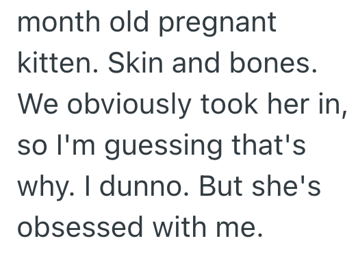 month old pregnant kitten. Skin and bones. We obviously took her in, so I'm guessing that's why. I dunno. But she's obsessed with me.