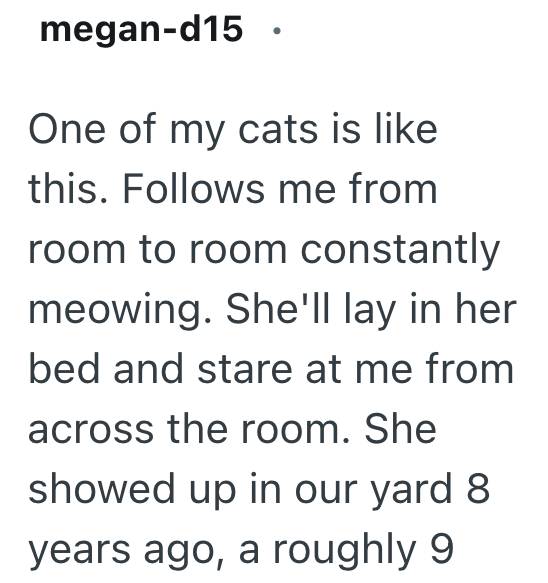 megan-d15 One of my cats is like this. Follows me from room to room constantly meowing. She'll lay in her bed and stare at me from across the room. She showed up in our yard 8 years ago, a roughly 9
