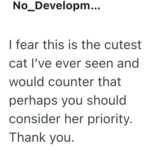 No_Developm... I fear this is the cutest cat I've ever seen and would counter that perhaps you should consider her priority. Thank you.
