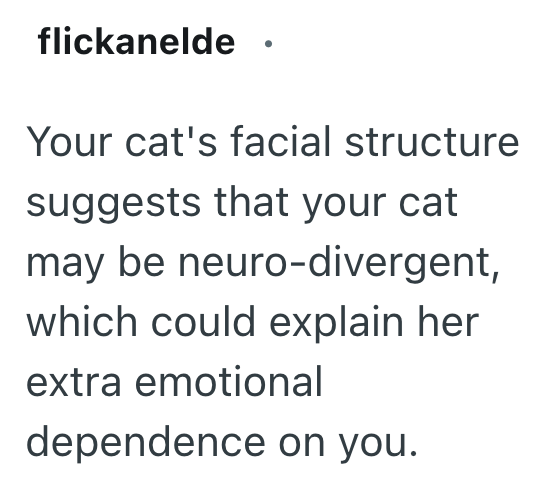 flickanelde Your cat's facial structure suggests that your cat may be neuro-divergent, which could explain her extra emotional dependence on you.
