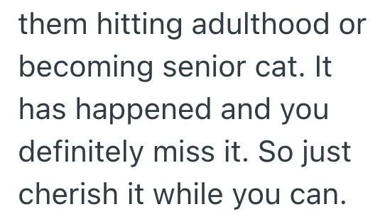them hitting adulthood or becoming senior cat. It has happened and you definitely miss it. So just cherish it while you can.