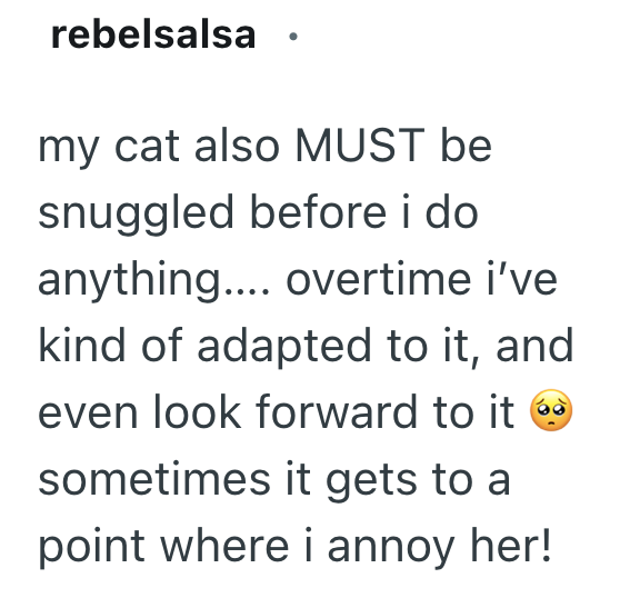 rebelsalsa my cat also MUST be snuggled before i do anything.... overtime i've kind of adapted to it, and even look forward to it → sometimes it gets to a point where i annoy her!