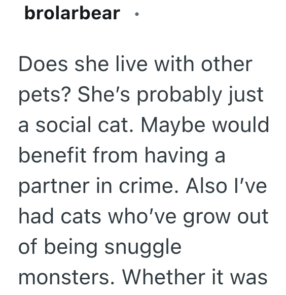 brolarbear Does she live with other pets? She's probably just a social cat. Maybe would benefit from having a partner in crime. Also I've had cats who've grow out of being snuggle monsters. Whether it was