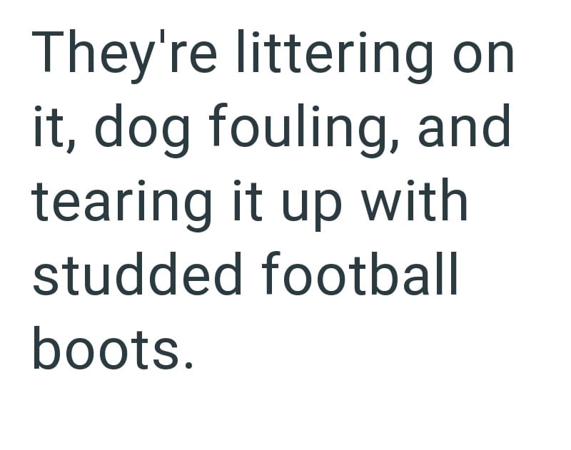 They're littering on it, dog fouling, and tearing it up with studded football boots.