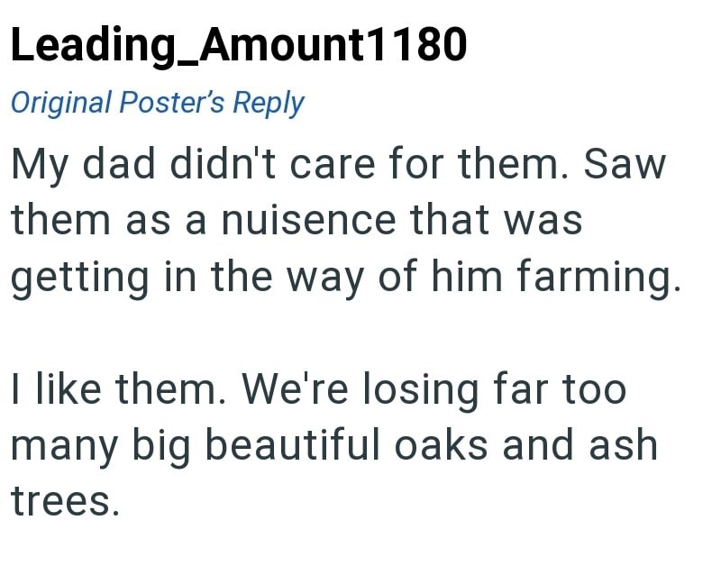 Leading_Amount1180 Original Poster's Reply My dad didn't care for them. Saw them as a nuisence that was getting in the way of him farming. I like them. We're losing far too many big beautiful oaks and ash trees.