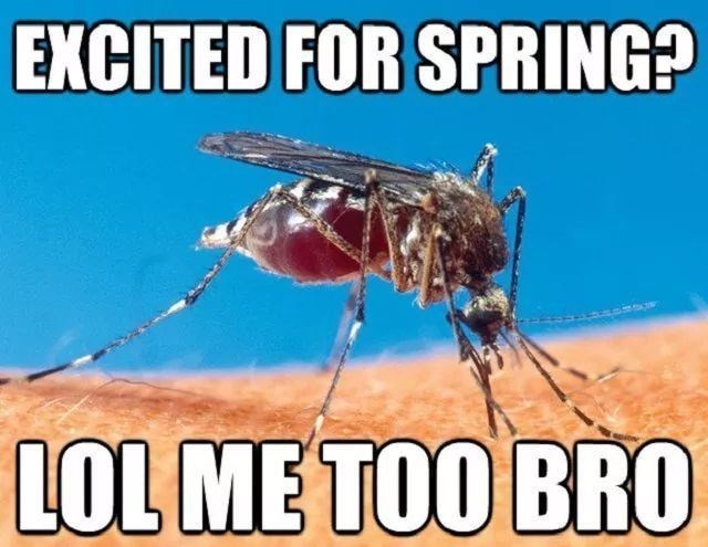 EXCITED FOR SPRING? LOL ME TOO BRO