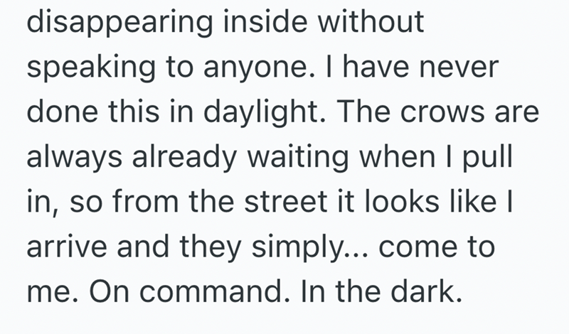 disappearing inside without speaking to anyone. I have never done this in daylight. The crows are always already waiting when I pull in, so from the street it looks like I arrive and they simply... come to me. On command. In the dark.