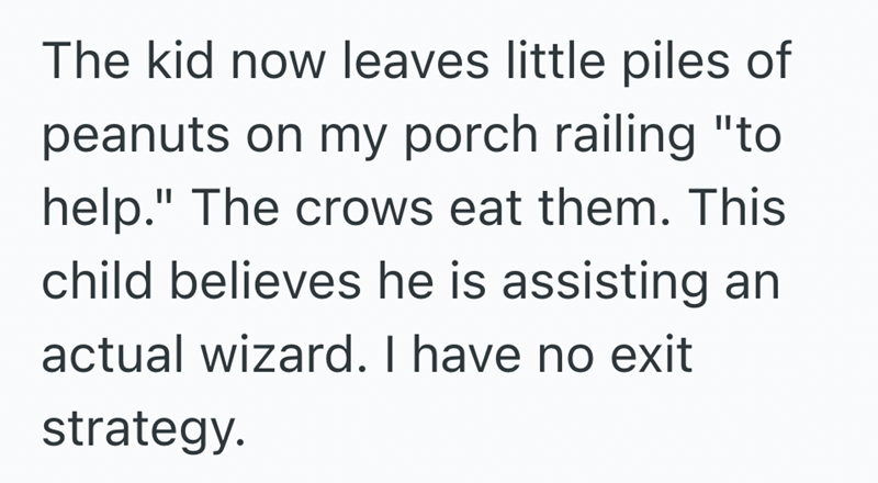 The kid now leaves little piles of peanuts on my porch railing "to help." The crows eat them. This child believes he is assisting an actual wizard. I have no exit strategy.