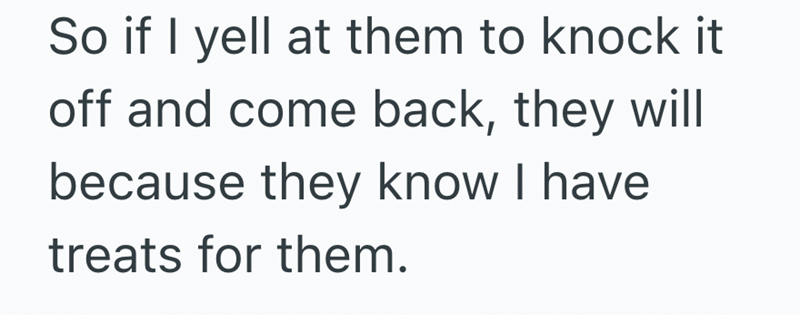 So if I yell at them to knock it off and come back, they will because they know I have treats for them.