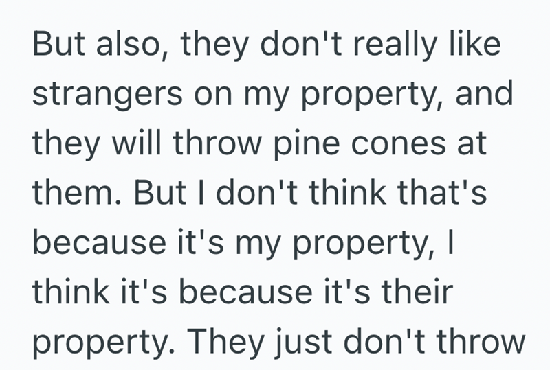 But also, they don't really like strangers on my property, and they will throw pine cones at them. But I don't think that's because it's my property, I think it's because it's their property. They just don't throw