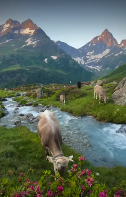 Cheezburger Image 10620736256