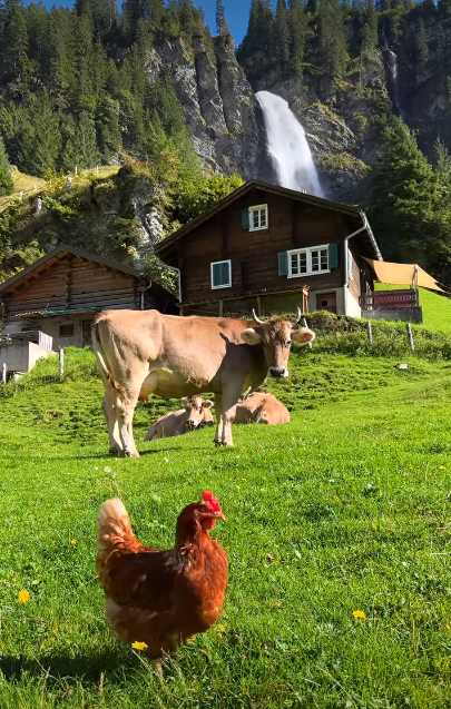 Cheezburger Image 10620737792