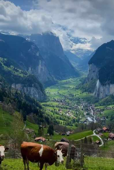 Cheezburger Image 10620738304