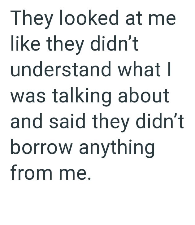 They looked at me like they didn't understand what I was talking about and said they didn't borrow anything from me.