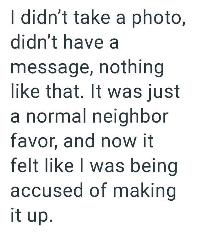 I didn't take a photo, didn't have a message, nothing like that. It was just a normal neighbor favor, and now it felt like I was being accused of making it up.